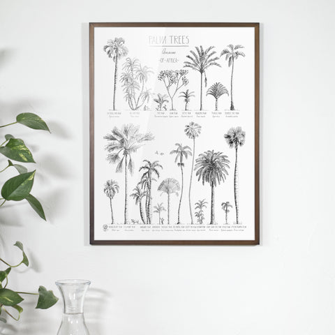 Photo of Palm trees of Africa poster in a dark brown wood frame. Hand-drawn in ink with names in english and latin.