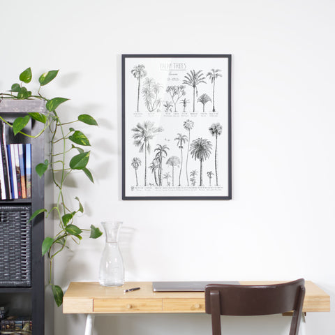 Photo of Palm trees of Africa poster in a black wood frame. Hand-drawn in ink with names in english and latin.
