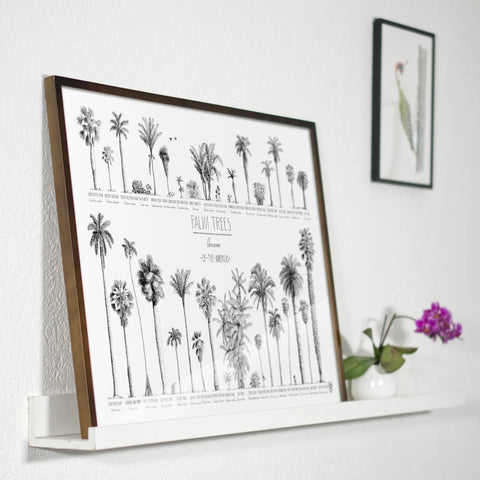 Product photo in a bedroom of our poster (70x50cm / 28x20“) of Palm trees native to North and South America and the Caribbean. Quality print of hand drawn palm trees in black ink. Dark wood frame.