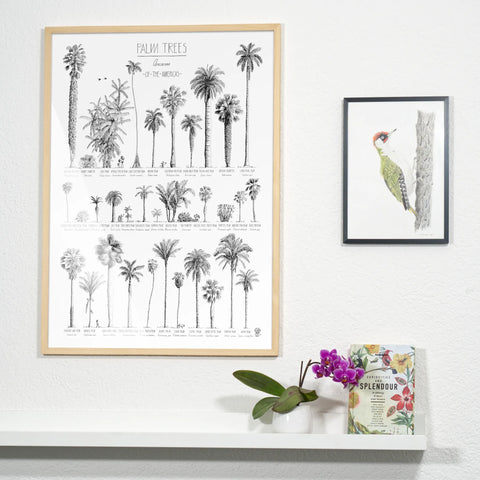 Product photo in a bedroom of our poster (50x70cm / 20x28“) of Palm trees native to North and South America and the Caribbean. Quality print of hand drawn palm trees, detailed drawings in black ink. Here in a natural wood frame.