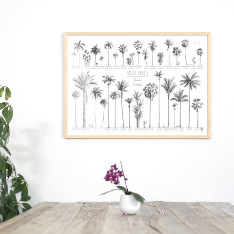 Photo of our 50x70cm Oceania poster over a dining table in a natural wood frame.