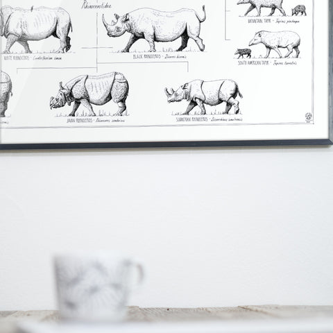 Close-up photo of our Perissodactyla poster over a dining table.