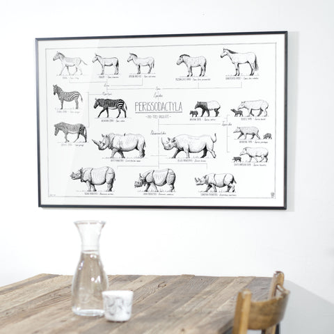 Photo of our Perissodactyla poster hanging over a dining table.