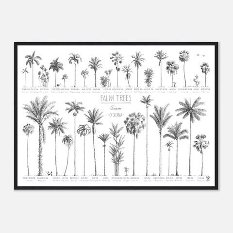 Mock up of our Oceania palms poster in a black wood frame.