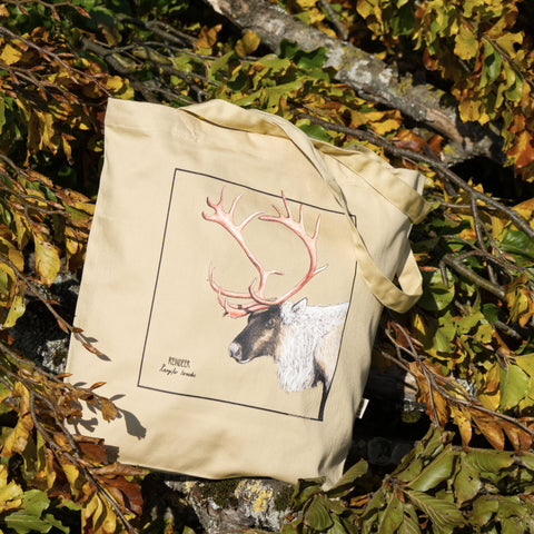 outdoor photoshoot of our tote bag with reindeer print, here in colourful autumn leaves.