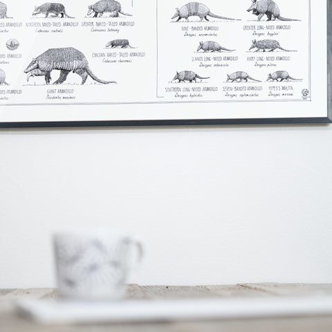 Poster of Xenarthra, sloths, anteaters and armadillos. 90x60cm / 36 x 24". Modern, tasty black and white style. Scientific drawings with names and relations.