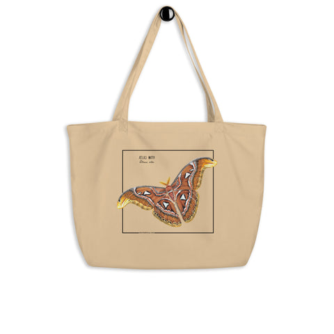 Product mockup of our large organic tote bag, featuring an atlas moth. Here seen hanging from the handles.