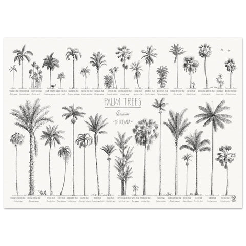 Mock up of our 50x70cm Oceania palms poster on archival museum paper