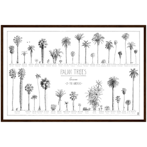 Mock up of our 90x60cm (36x24") poster of American palms. Quality print of hand drawn palm trees, drawn in black ink with loads of details. Here in a dark wood frame.