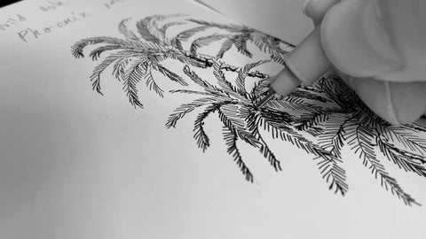 cover photo for the palm tree making-of video