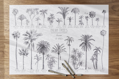 Modern, black and white poster (70x50cm / 28x20“) of Palm trees native to Africa. Scientific and English names. Quality print of hand drawn palm trees, drawn in black ink with loads of details. Poster in workshop.