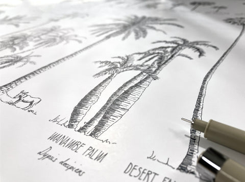 Modern, black and white poster (70x50cm / 28x20“) of Palm trees native to Africa. Scientific and English names. Quality print of hand drawn palm trees, drawn in black ink with loads of details. Close up of ink drawing.