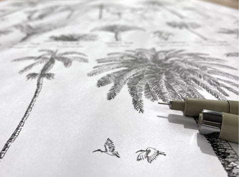 Modern, black and white poster (50x70cm / 20x28“) of Palm trees native to Africa. Scientific and English names. Quality print of hand drawn palm trees, drawn in black ink with loads of details. Detail of ink drawings of birds.