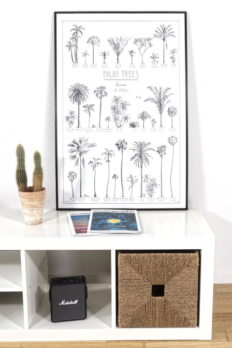 Modern, black and white poster (60x90cm / 24x36“) of Palm trees native to Africa. Scientific and English names. Quality print of hand drawn palm trees, drawn in black ink with loads of details. Black wooden frame.