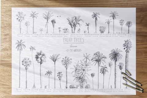 Modern, black and white poster (70x50cm / 28x20“) of Palm trees native to North and South America and the Caribbean. Scientific and English names. Quality print of hand drawn palm trees, detailed drawings in black ink. Poster in the workshop.
