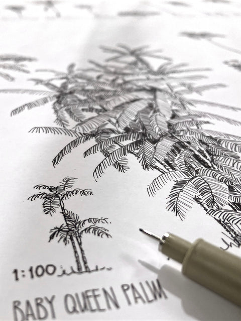 Modern, black and white poster (60x90cm / 24x36“) of Palm trees native to North and South America and the Caribbean. Scientific and English names. Quality print of hand drawn palm trees, detailed drawings in black ink. Close up of the artwork.