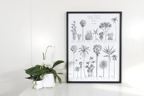 Modern, black and white poster (45x60cm / 18x24“) of Palm trees native to Asia. Scientific and English names. Quality print of hand drawn palm trees, drawn in black ink with loads of details. Black wooden frame included.