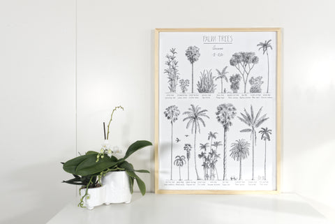 Modern, black and white poster (45x60cm / 18x24“) of Palm trees native to Asia. Scientific and English names. Quality print of hand drawn palm trees, drawn in black ink with loads of details. Natural wooden frame included.