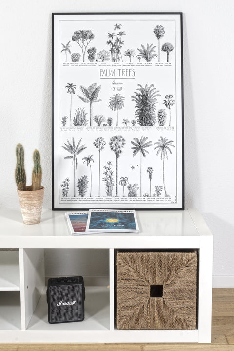 Modern, black and white poster (60x90cm / 24x36“) of Palm trees native to Asia. Scientific and English names. Quality print of hand drawn palm trees, drawn in black ink with loads of details. Black wooden frame.