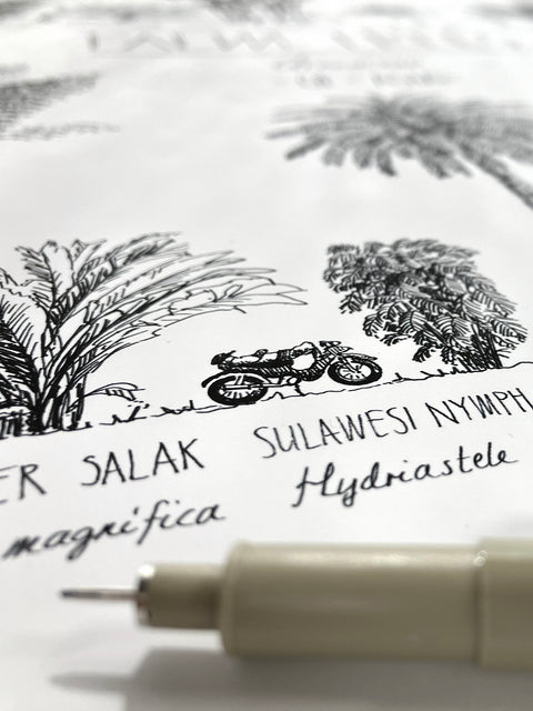 Modern, black and white poster (60x90cm / 24x36“) of Palm trees native to Asia. Scientific and English names. Quality print of hand drawn palm trees, drawn in black ink with loads of details. Close up of artwork.