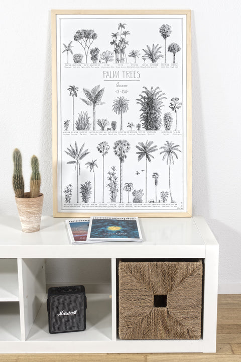 Modern, black and white poster (60x90cm / 24x36“) of Palm trees native to Asia. Scientific and English names. Quality print of hand drawn palm trees, drawn in black ink with loads of details. Natural wood frame.