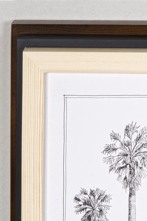 Modern, black and white poster (60x90cm / 24x36“) of Palm trees native to Africa. Scientific and English names. Quality print of hand drawn palm trees, drawn in black ink with loads of details. Comparison of available frames.