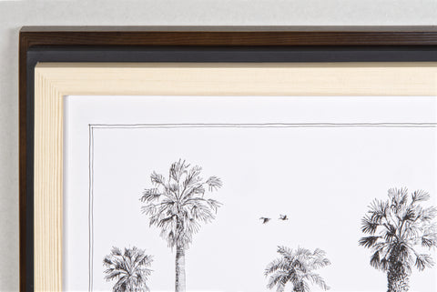 Modern, black and white poster (90x60cm / 36x24") of Palm trees native to Africa. Scientific and English names. Quality print of hand drawn palm trees, drawn in black ink with loads of details. Comparison of frames.