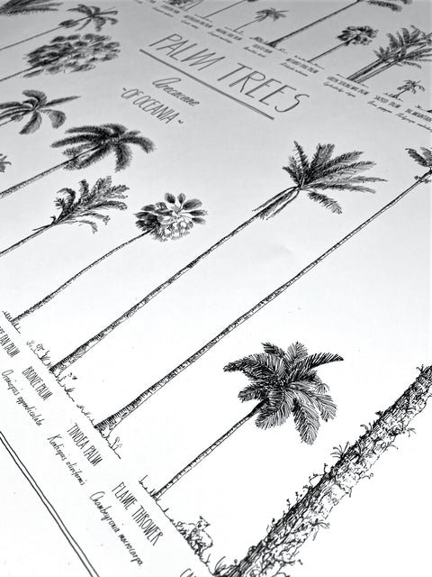 Close-up of a poster. Details of the beautiful hand-drawn trees and hand-lettering.