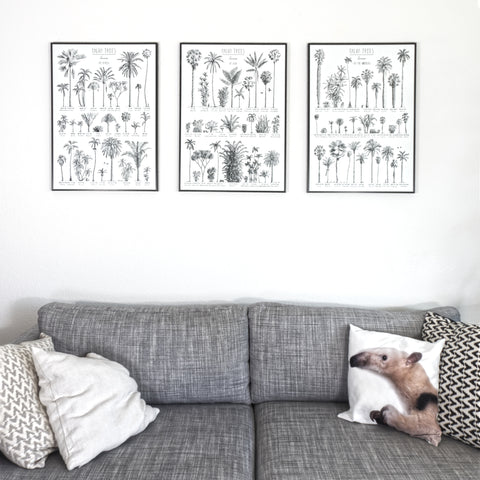 Modern, black and white poster (50x70cm / 20x28“) of Palm trees native to Africa. Scientific and English names. Quality print of hand drawn palm trees, drawn in black ink with loads of details. Set of 3 posters.