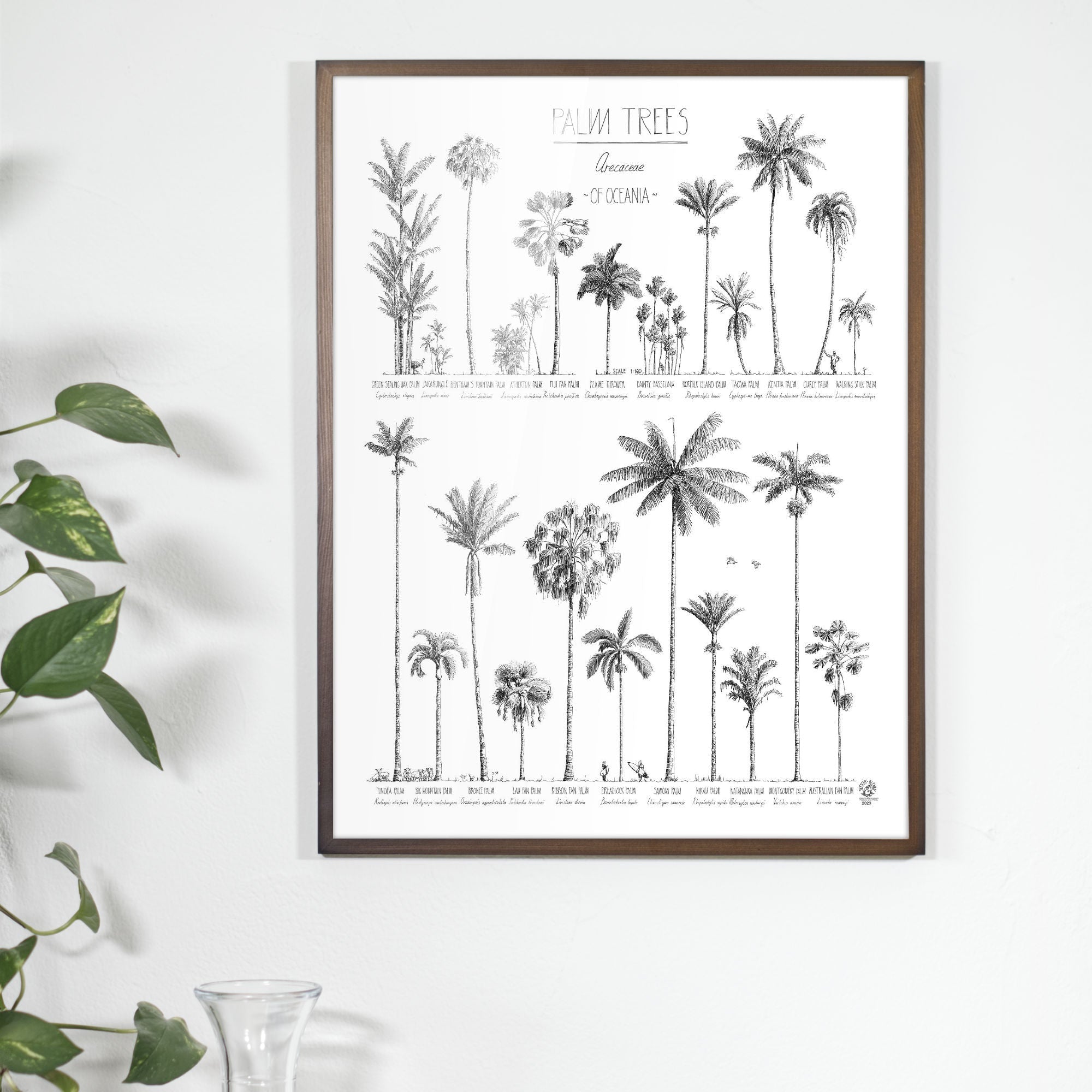 Browse all our palm tree themed posters. All black-and-white, hand-drawn prints.
