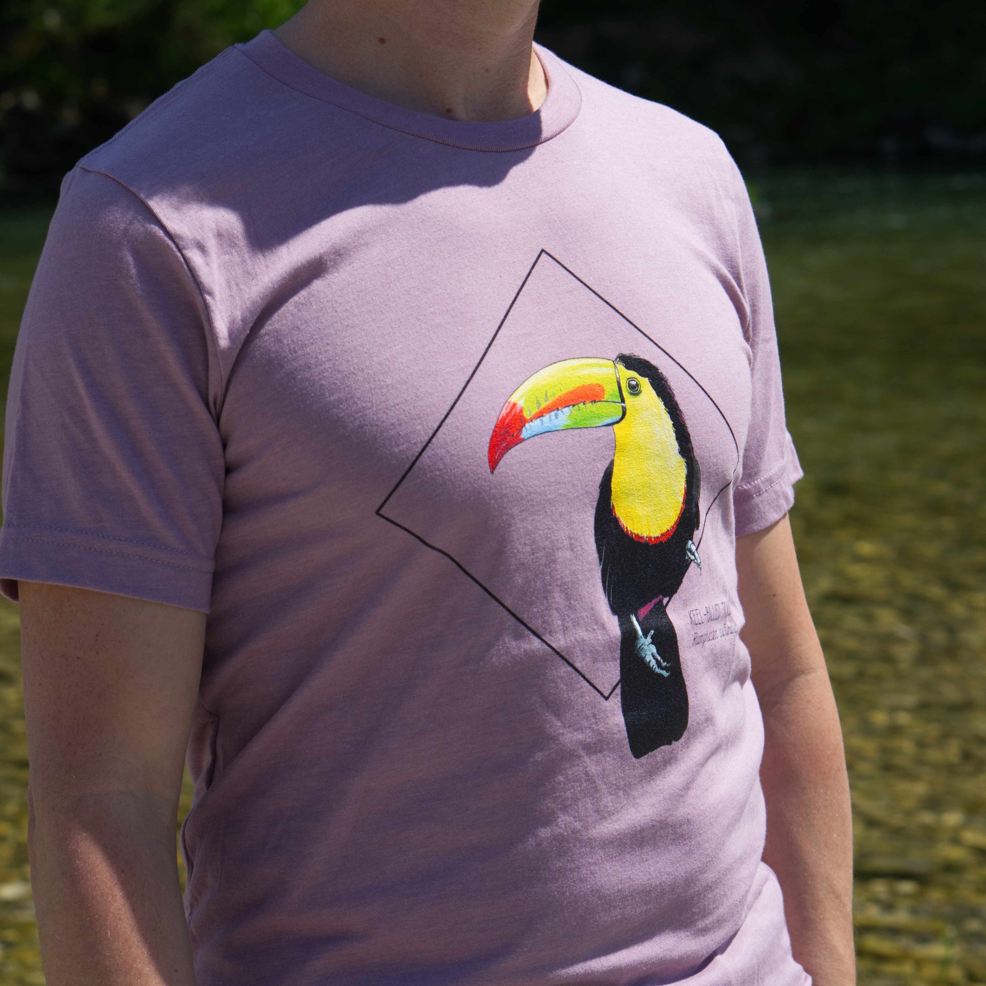 Photoshoot outside on a male model of the keel-billed toucan t-shirt in heather orchid colour.