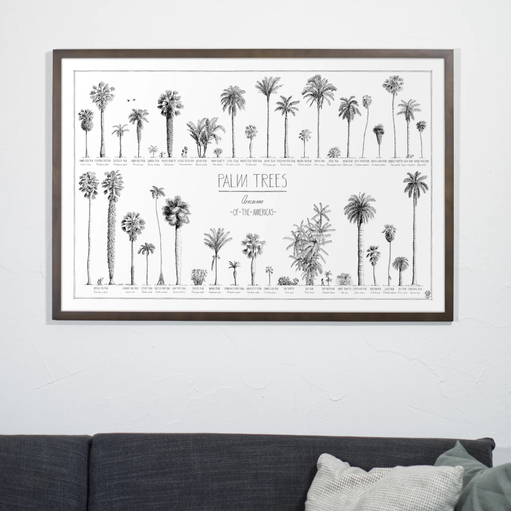 Product photo in aliving room of our 90x60cm (36x24") poster of American palms. Quality print of hand drawn palm trees, drawn in black ink with loads of details. Here in a dark wood frame.