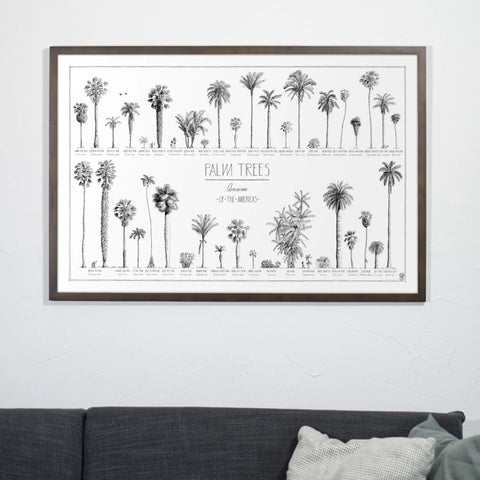 Product photo in aliving room of our 90x60cm (36x24") poster of American palms. Quality print of hand drawn palm trees, drawn in black ink with loads of details. Here in a dark wood frame.