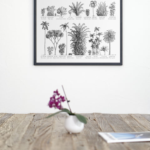 Photo of our 50x70cm poster featuring Asian palm trees. Shown here hanging above a dining table in a black wood frame.