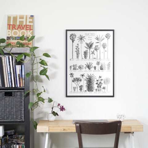 Photo of our 50x70cm poster featuring Asian palm trees. Shown here hanging in our office space in a black wood frame.