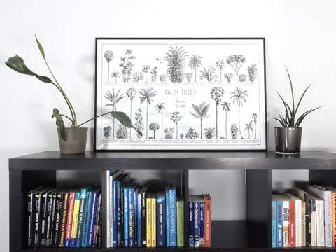 Large palm tree poster on a book shelve. Stylish black-and-white artwork.