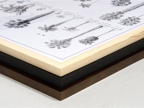 Detail of the wooden frames in the options of black, dark wood and natural, light wood.