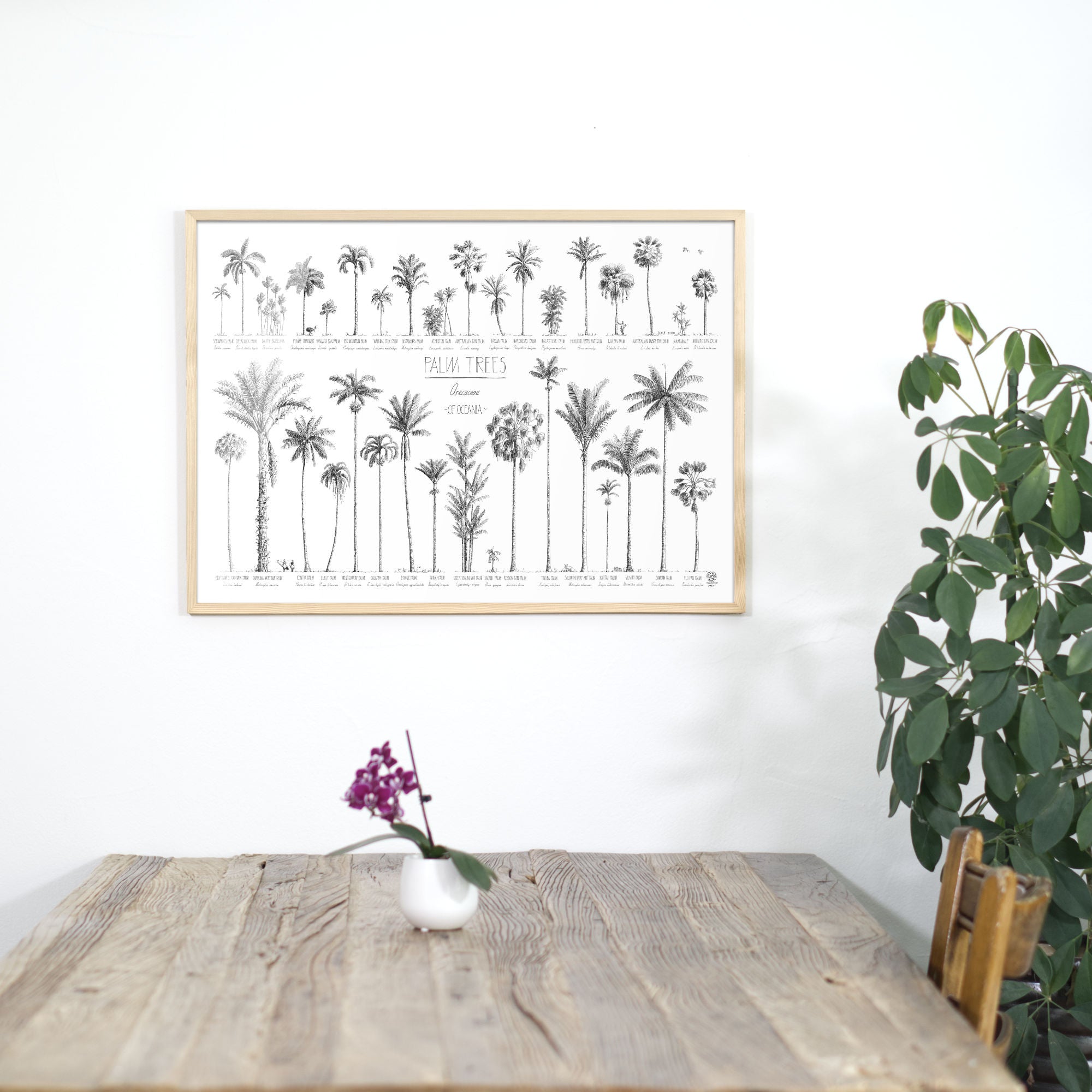 Photo of our 50x70cm  Oceania poster over a dining table in a natural wood frame.