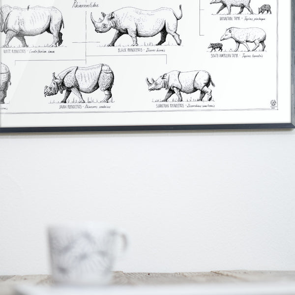 Close-up photo of our Perissodactyla poster over a dining table.