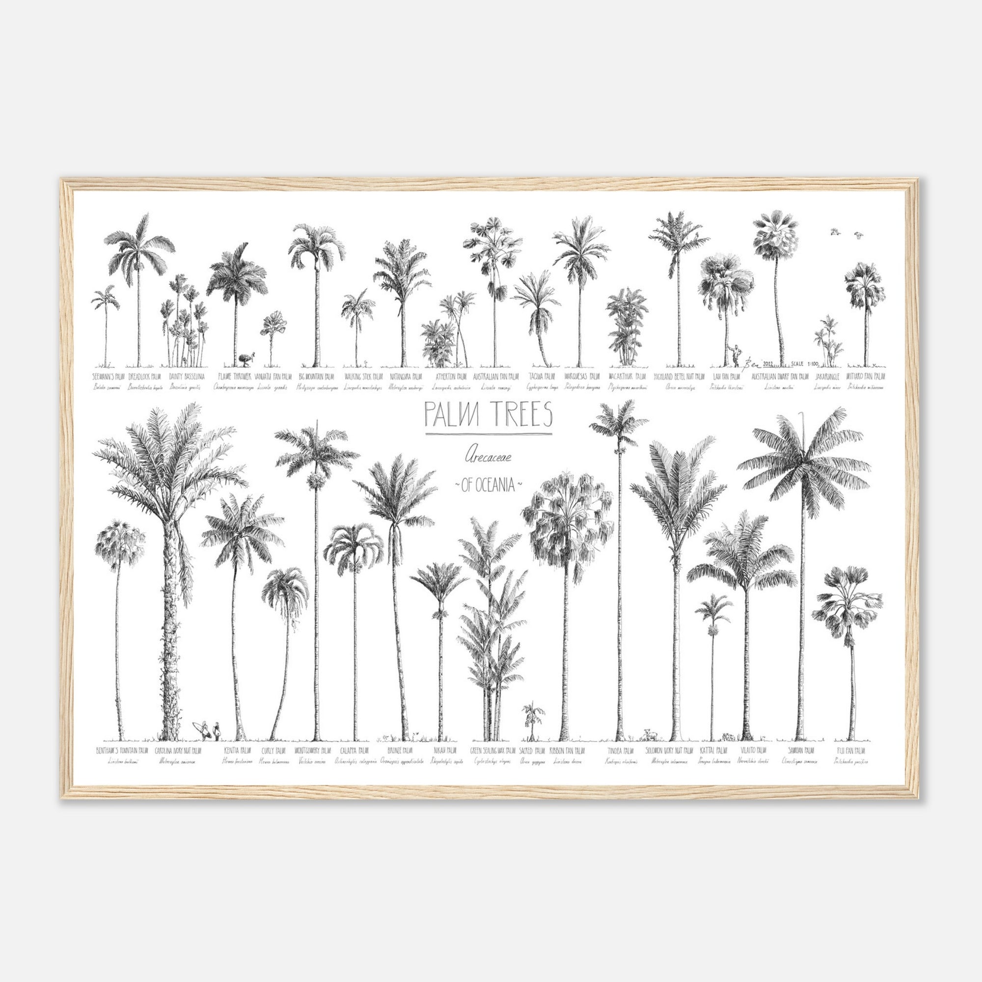 Mock up of our 50x70cm Oceania palms poster in a natural wood frame.