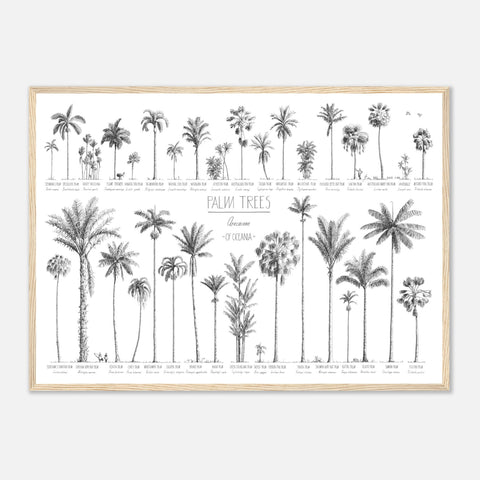 Mock up of our 50x70cm Oceania palms poster in a natural wood frame.