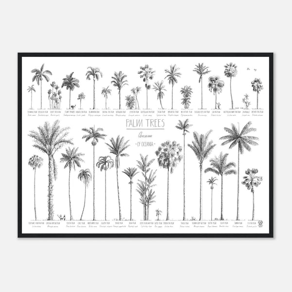 Mock up of our Oceania palms poster in a black wood frame.
