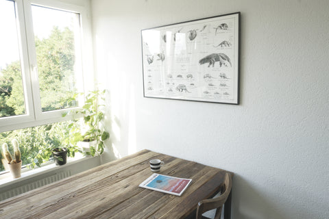 Large Xenarthra poster over a dining table. Highly detailed black-and-white print of a very interesting group of animals!