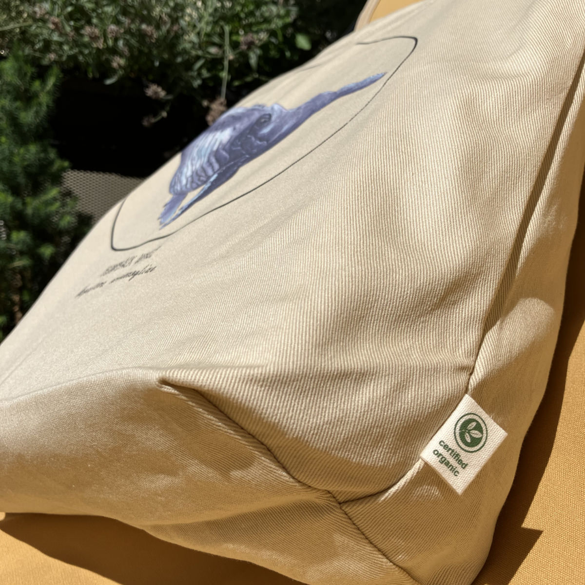 Tote bag with print of a humpback whale. Beautiful hand-drawn bag, 100% organic cotton. Here we used it as a beach bag.