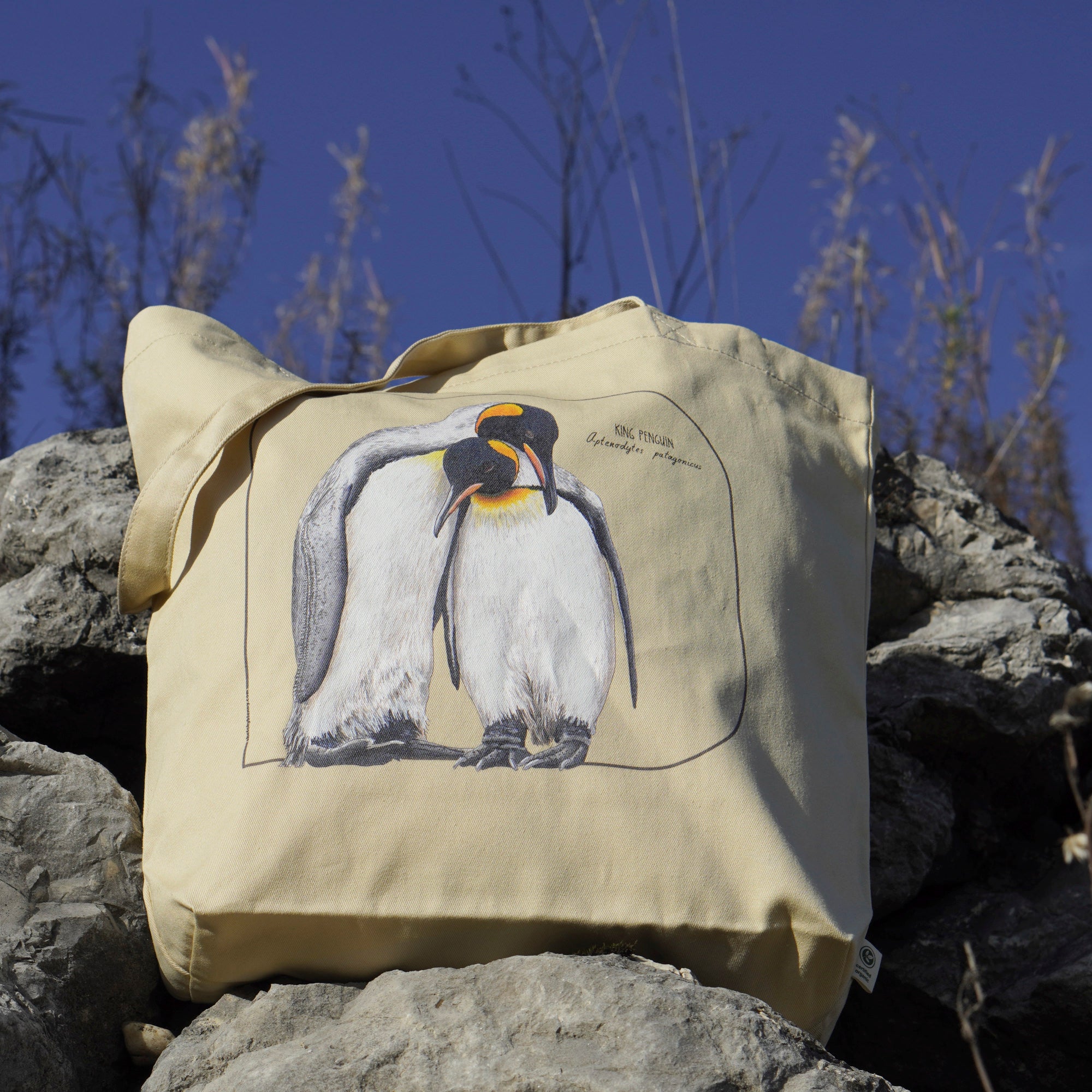 Outside photo of our sturdy tote bag. It comes with a beautiful print of a hand-drawn pair of king penguins huddled together. 100% organic cotton. Beach bag, shopping bag, travel bag, or just as a present.
