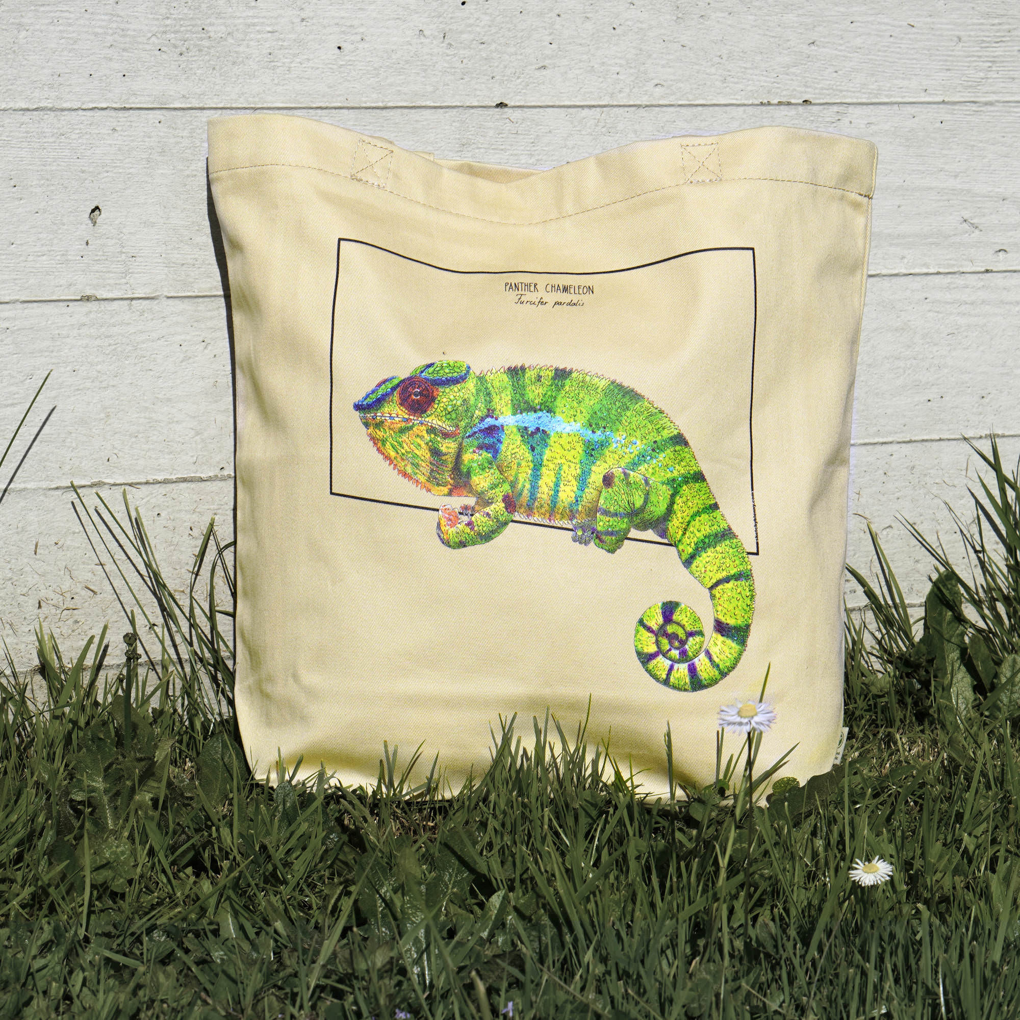 Sketchy Blenny tote bag with a print of a stunning green panther chameleon. Beautiful print of a hand-drawn animal, 100% organic cotton. Beach bag, shopping bag, travel bag, or just as a present. Here seen taking a sunbath.