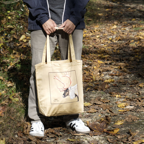 outdoor photoshoot of our tote bag with reindeer print, here with a male model