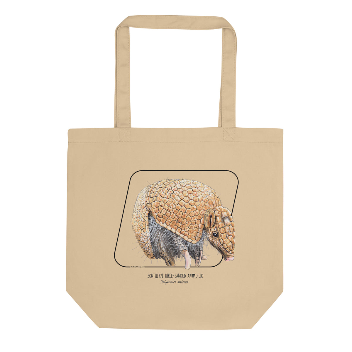 Large tote bag with a cute little southern three-banded armadillo on it. 100% organic cotton.