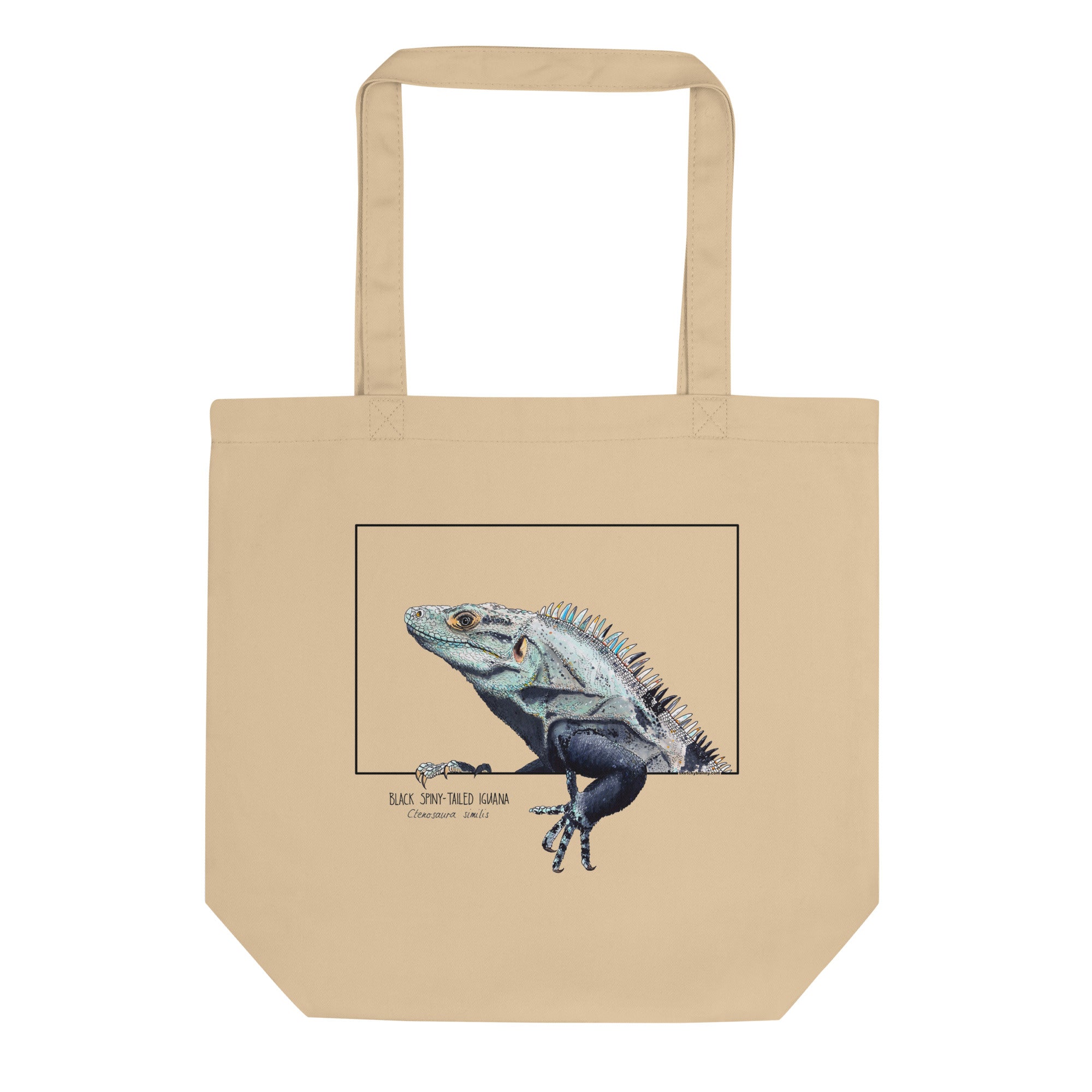 Sketchy Blenny tote bag with a beautiful print of a hand-drawn animal. This one features a cheeky iguana. 100% organic cotton. Beach bag, shopping bag, travel bag, or just as a present. PETA-approved vegan.