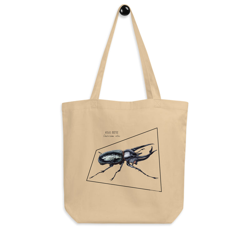Sketchy Blenny tote bag with a beautiful print of a hand-drawn animal. This one features an atlas beetle. 100% organic cotton. Beach bag, shopping bag, travel bag, or just as a present. PETA-approved vegan.